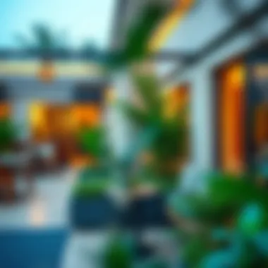 Cozy Outdoor Seating Area A cozy outdoor seating area surrounded by greenery