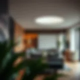 Exploring the Minc Apartment: A Comprehensive Guide Introduction