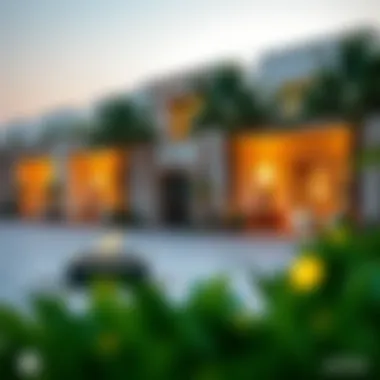 Community Features Community features in South Al Shamkha neighborhood