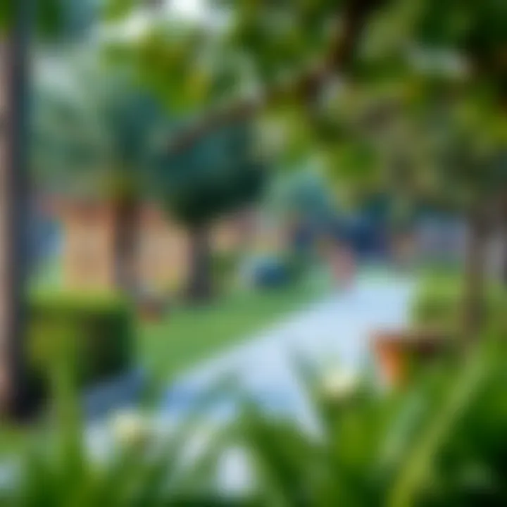 Local Park in Westzone Karama Local park in Westzone Karama highlighting community wellness and leisure activities