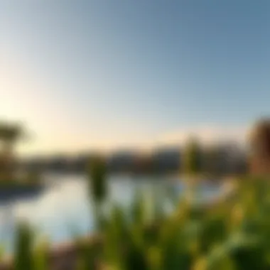 Community amenities at Gardenia Bay