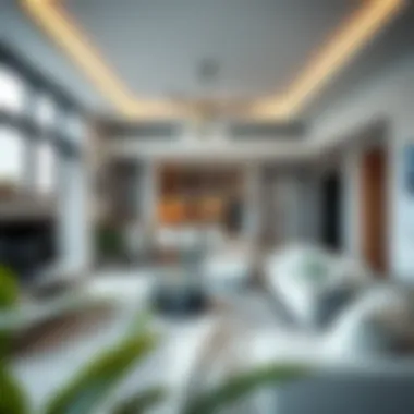 Spotless Living Spaces Luxurious apartment showcasing cleanliness and organization