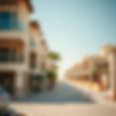 Architectural Design of Jabel Ali Village Elegant architectural design of residential buildings in Jabel Ali Village