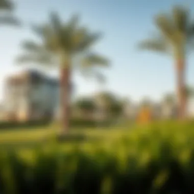 Community Park and Recreation in Jebel Ali Hills Community park and recreational areas in Jebel Ali Hills