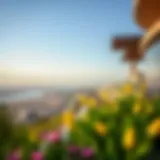 Stunning Panoramic View of Jebel Ali Hills A panoramic view of Jebel Ali Hills showcasing modern architecture