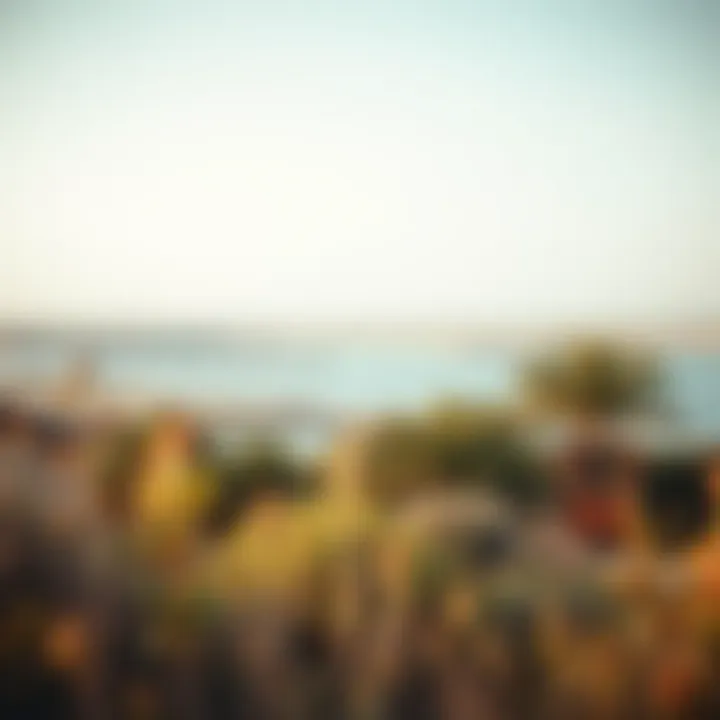 Natural Beauty of Jubail Island Scenic view of Jubail Island showcasing its natural landscape