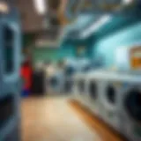 An overview of laundry facilities in Tecom neighborhood