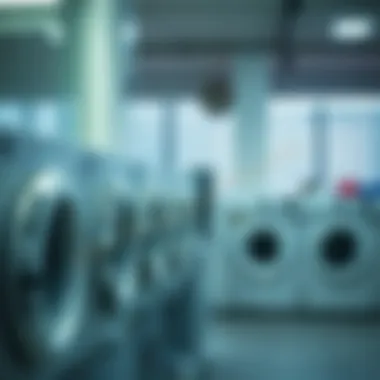 Impact of Laundry Services on Real Estate Values Graph illustrating the impact of laundry services on real estate values