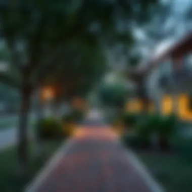 A scenic park in MBZ City, illustrating neighborhood features for renters