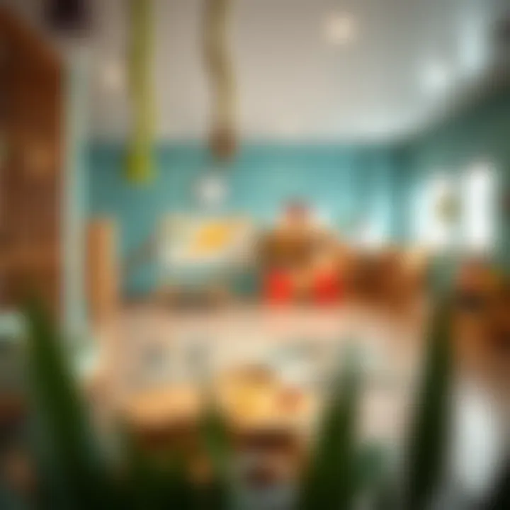 Overview of various nursery programs and curricula