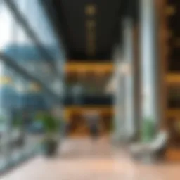 Navigating the Visa Status Track: Essential Insights for Expatriates in Dubai Introduction