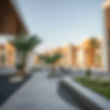 Community Amenities of Project Al-Riman Community amenities within Project Al-Riman enhancing residents' lifestyle