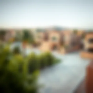 Charming Al Mizhar Community Landscape Scenic view of Al Mizhar neighborhood with villas