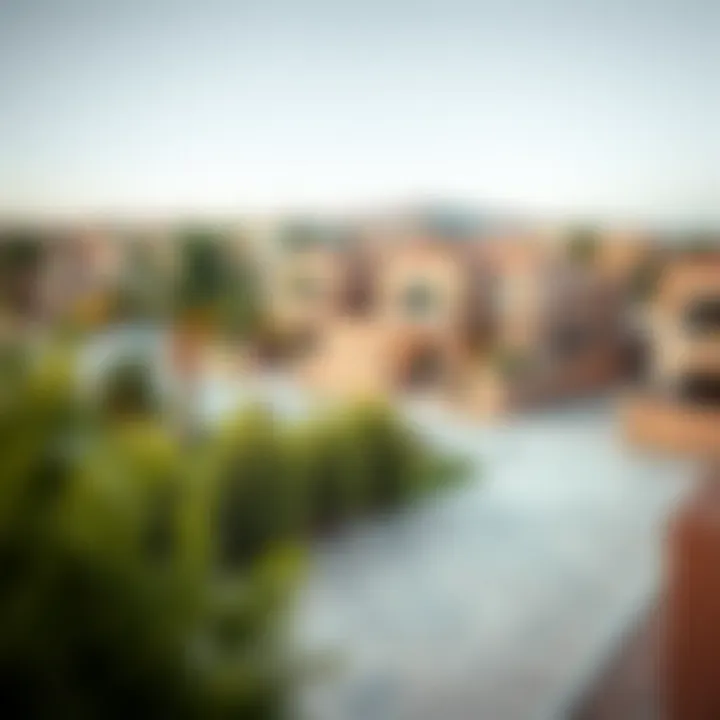 Charming Al Mizhar Community Landscape Scenic view of Al Mizhar neighborhood with villas