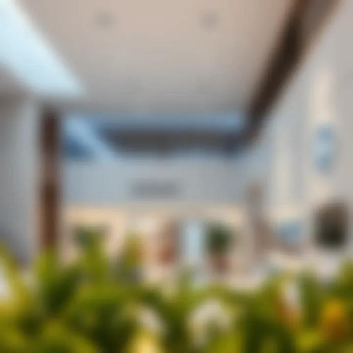 Healthcare facilities in Dubai emphasizing quality services