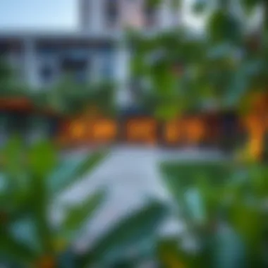 Overview of community amenities including parks and recreational facilities