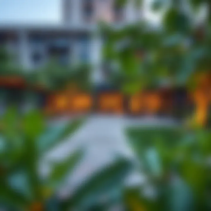 Overview of community amenities including parks and recreational facilities