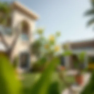 Impact on Real Estate through Aesthetic Landscaping Lemon blossom featured in high-end residential landscaping