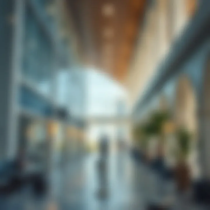 Travel Common Issues and Solutions Common issues faced by travelers