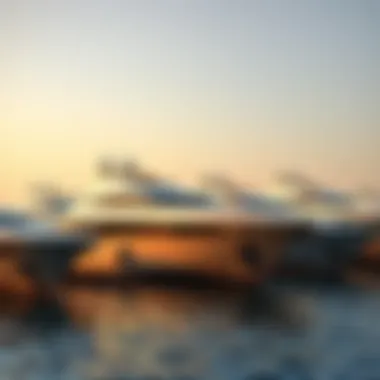 Luxurious Yachts at Al Maya Marina Luxurious yachts docked at Al Maya Marina