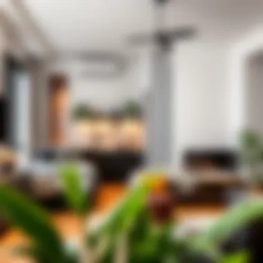 Modern Shared Living in Discovery Gardens Modern shared accommodation setup