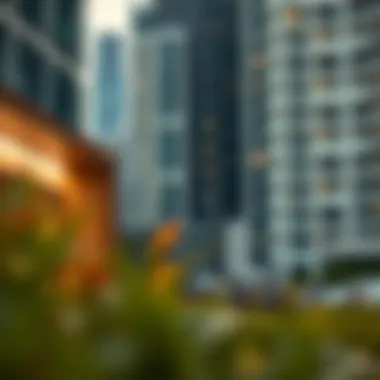 Expatriates' Guide to Renting in Dubai Expatriates navigating Dubai's rental landscape