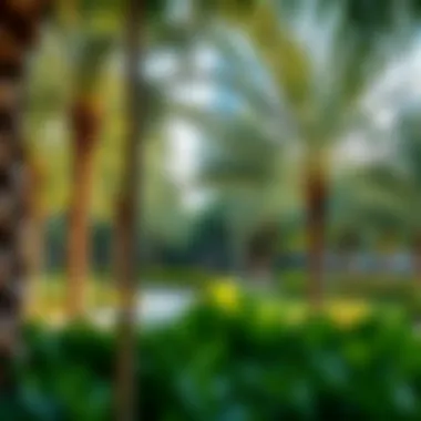 Understanding The Greens Park: A Hub of Urban Serenity in Dubai Summary