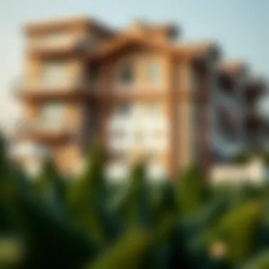 A detailed infographic illustrating mortgage types in the UAE