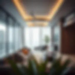 Legal frameworks governing visa cancellations in the UAE