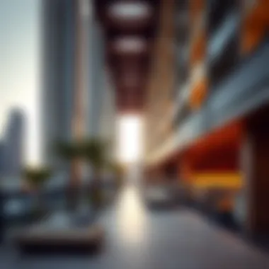 Community Integration in Vertical Developments Community spaces in a Dubai high-rise development