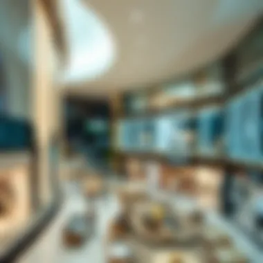 Spatial Arrangement Insight Spatial arrangement of Vida Dubai Mall