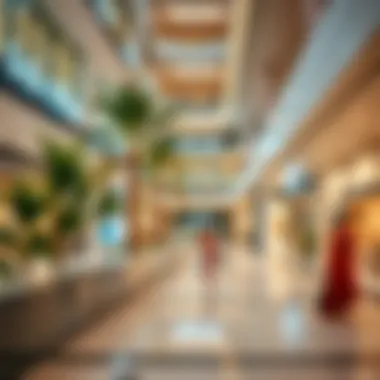 Integration with Surrounding Environment Surrounding environment of Vida Dubai Mall