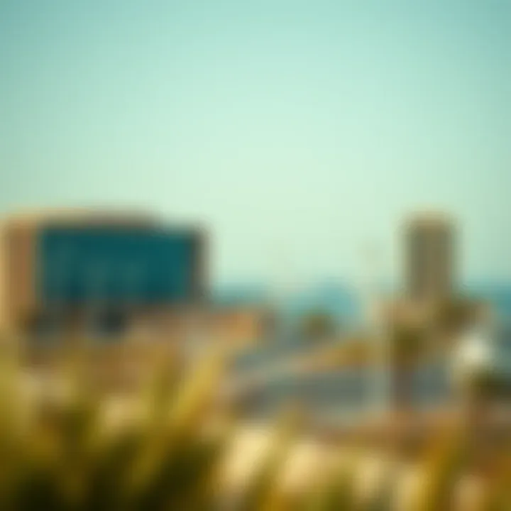 Investment Opportunities Near Wasl Port Investment opportunities around Wasl Port for potential buyers